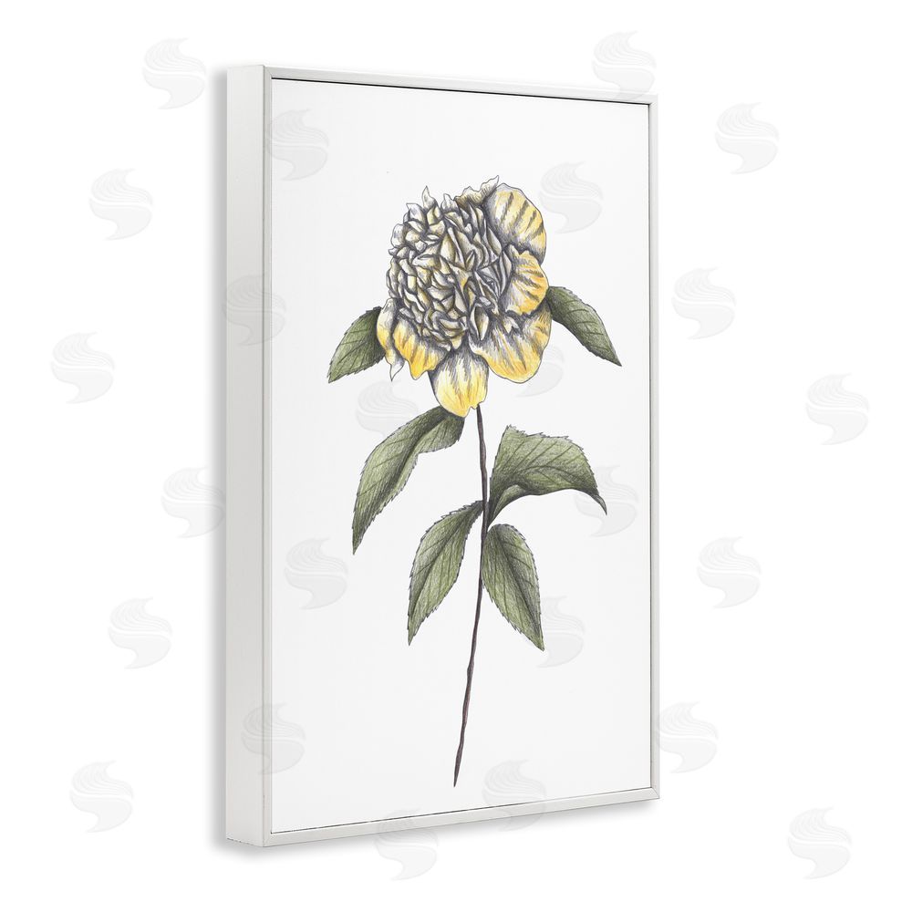 Cecilia Battaini Camellia Flower Illustration White Framed Giclee Print Wall Art