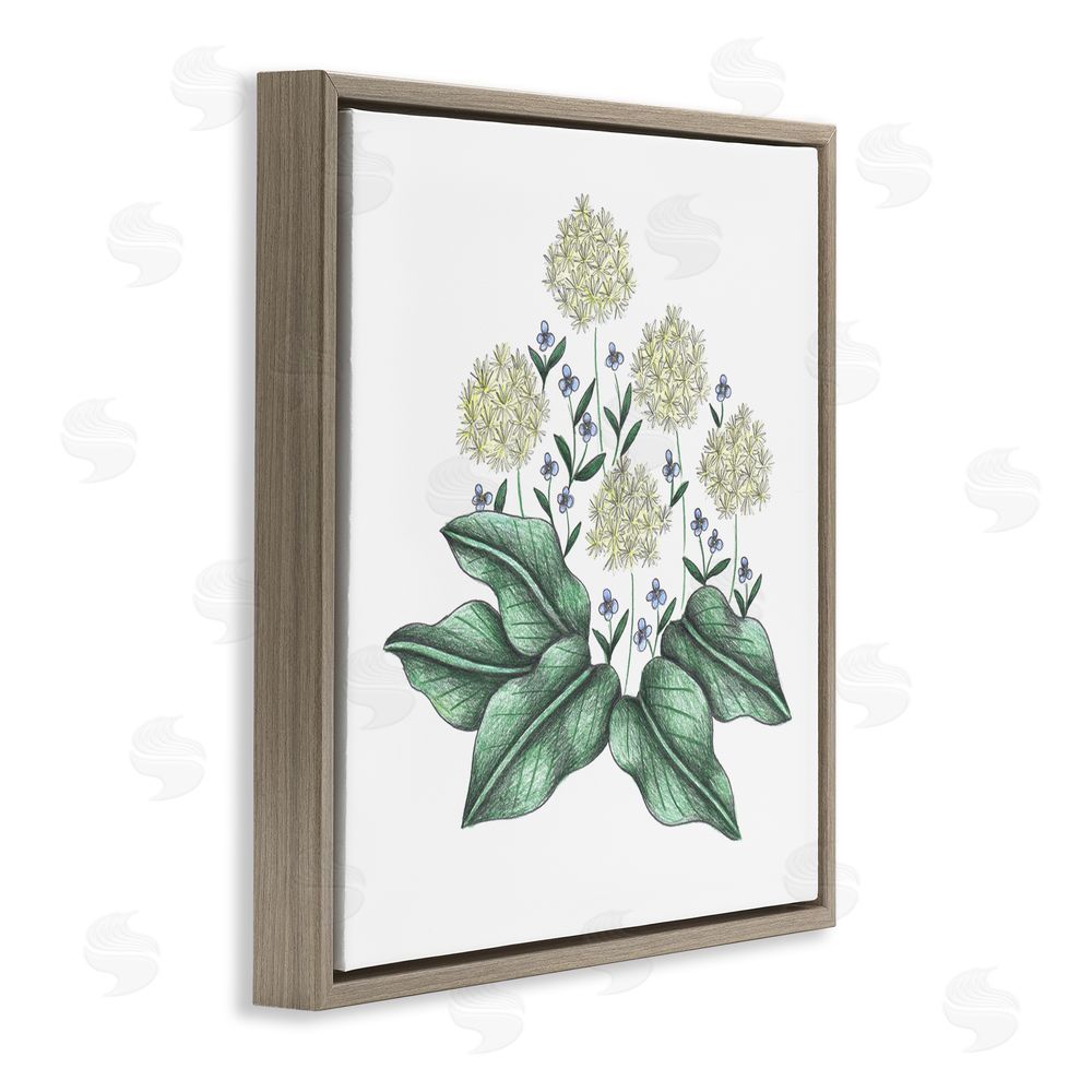 Cecilia Battaini Hello Wildflower Vintage Sketch Brown Floating Frame Canvas Wall Art Print