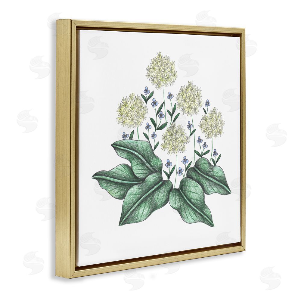 Cecilia Battaini Hello Wildflower Vintage Sketch Gold Floating Frame Canvas Wall Art Print