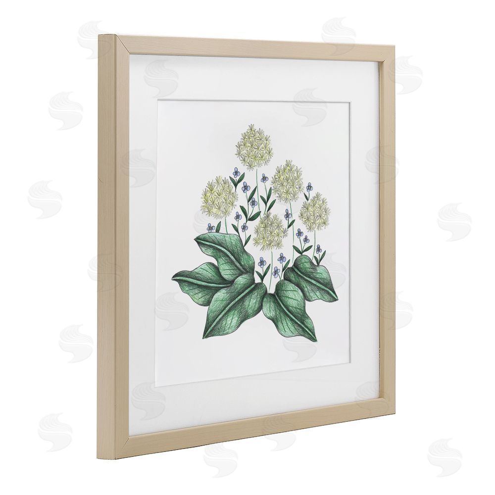 Cecilia Battaini Hello Wildflower Vintage Sketch Brown Framed Print Under Glass Wall Art