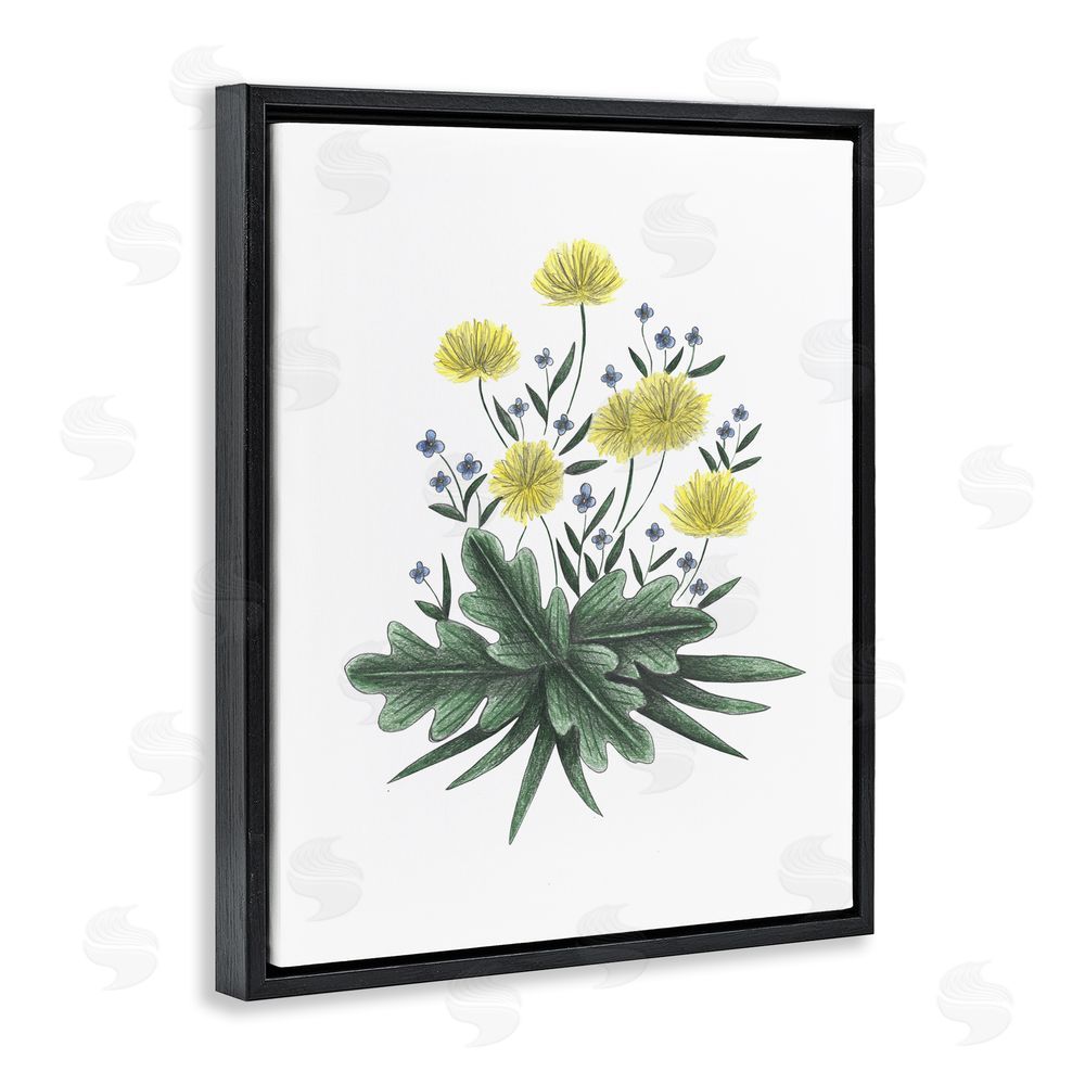 Cecilia Battaini Dandelion Flower Illustration Black Floating Frame Canvas Wall Art Print