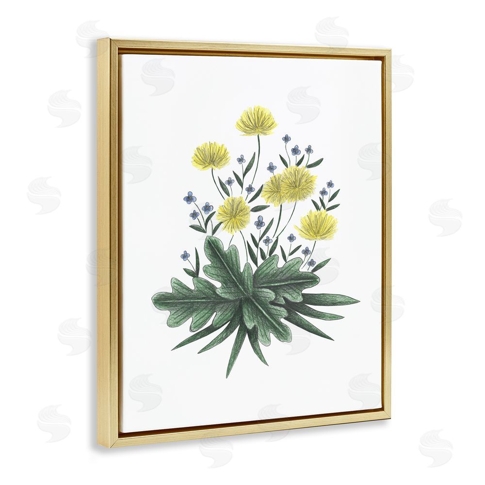 Cecilia Battaini Dandelion Flower Illustration Gold Floating Frame Canvas Wall Art Print