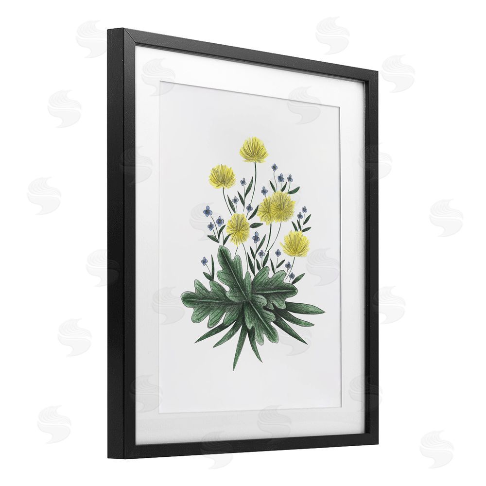 Cecilia Battaini Dandelion Flower Illustration Black Framed Print Under Glass Wall Art