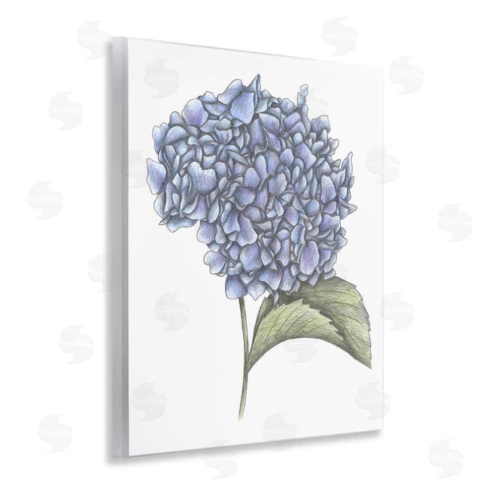 Cecilia Battaini Hydrangea Sketch Blossom Wooden Wall Plaque Art Print