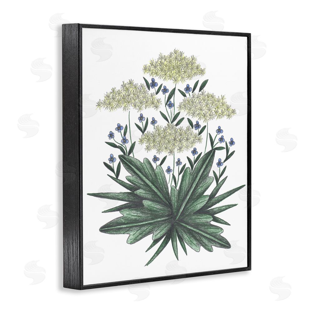 Cecilia Battaini New Roots Vintage Sketch Black Framed Giclee Print Wall Art