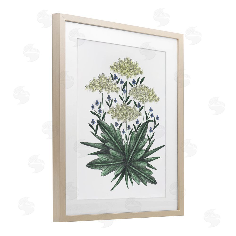 Cecilia Battaini New Roots Vintage Sketch Brown Framed Print Under Glass Wall Art