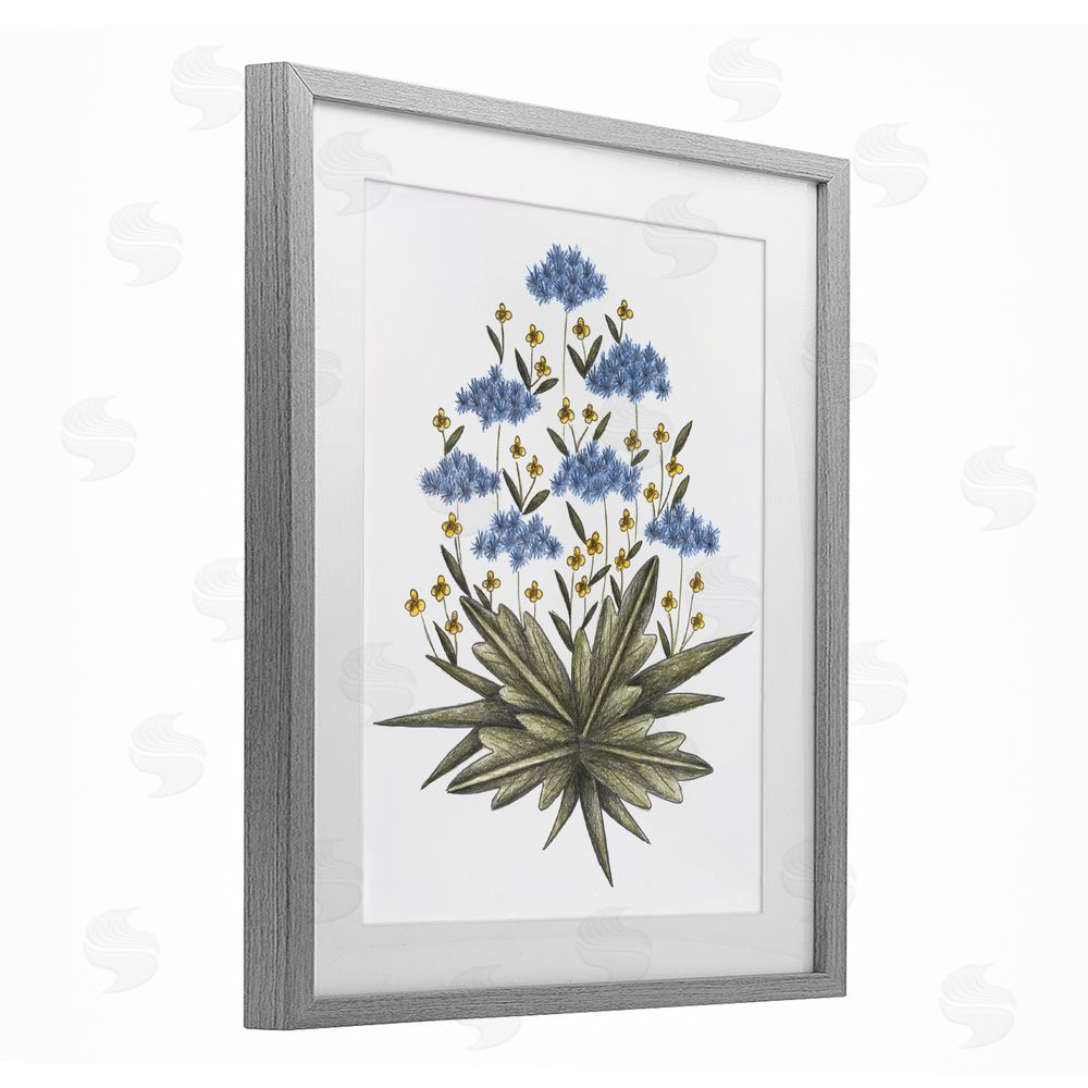 Cecilia Battaini Where Wild Flowers Bloom Gray Framed Print Under Glass Wall Art