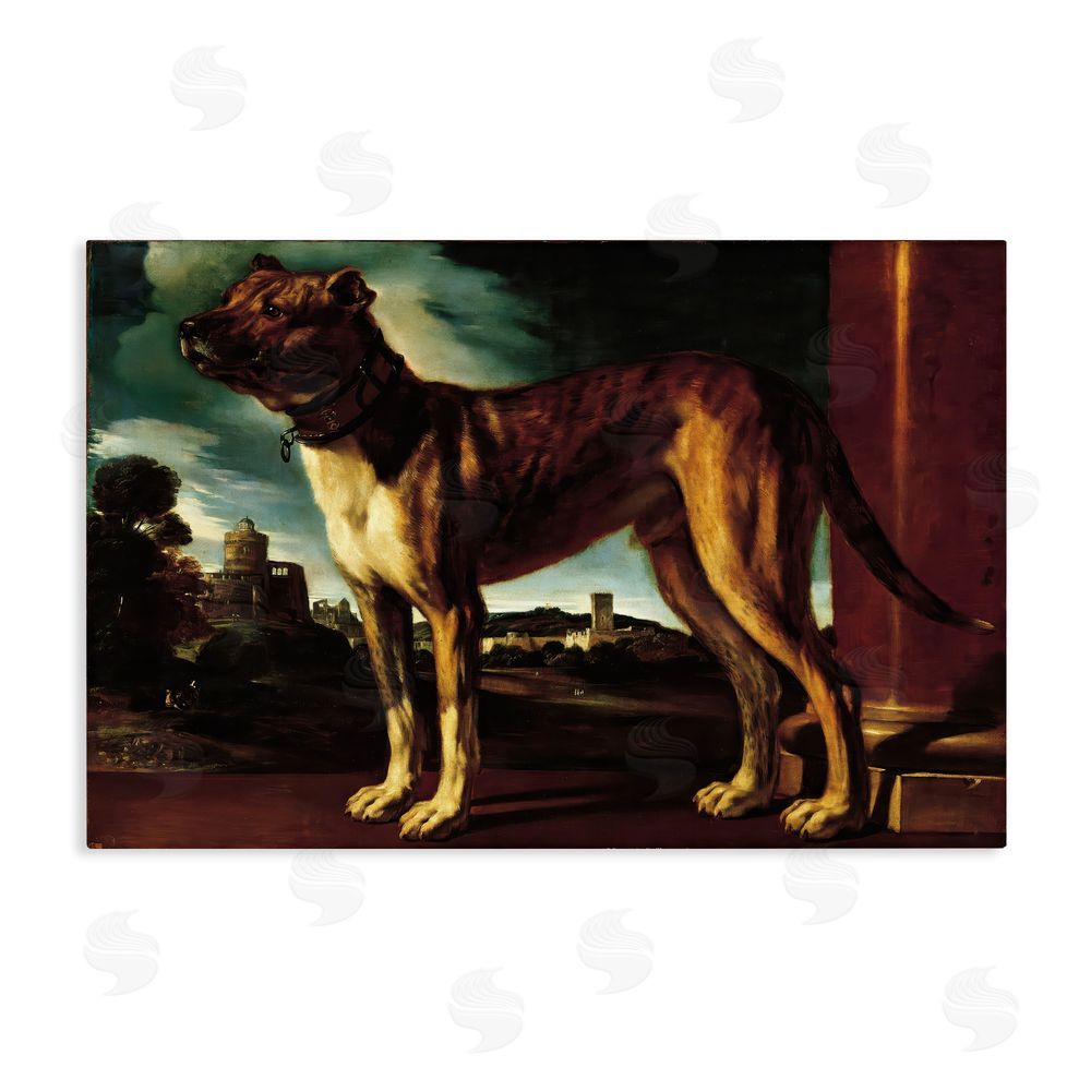 Lil' Rue Historical Aldrovani Dog Stretched Canvas Wall Art Print