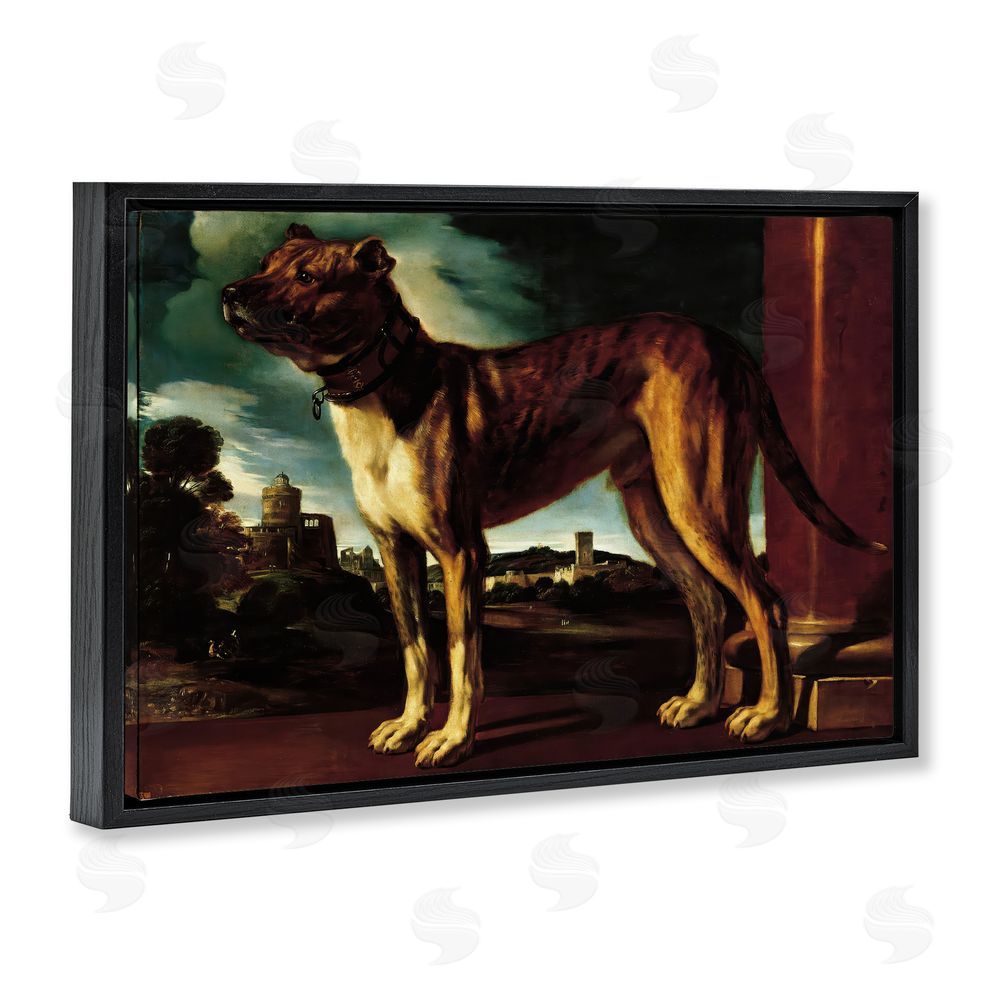 Lil' Rue Historical Aldrovani Dog Black Floating Frame Canvas Wall Art Print