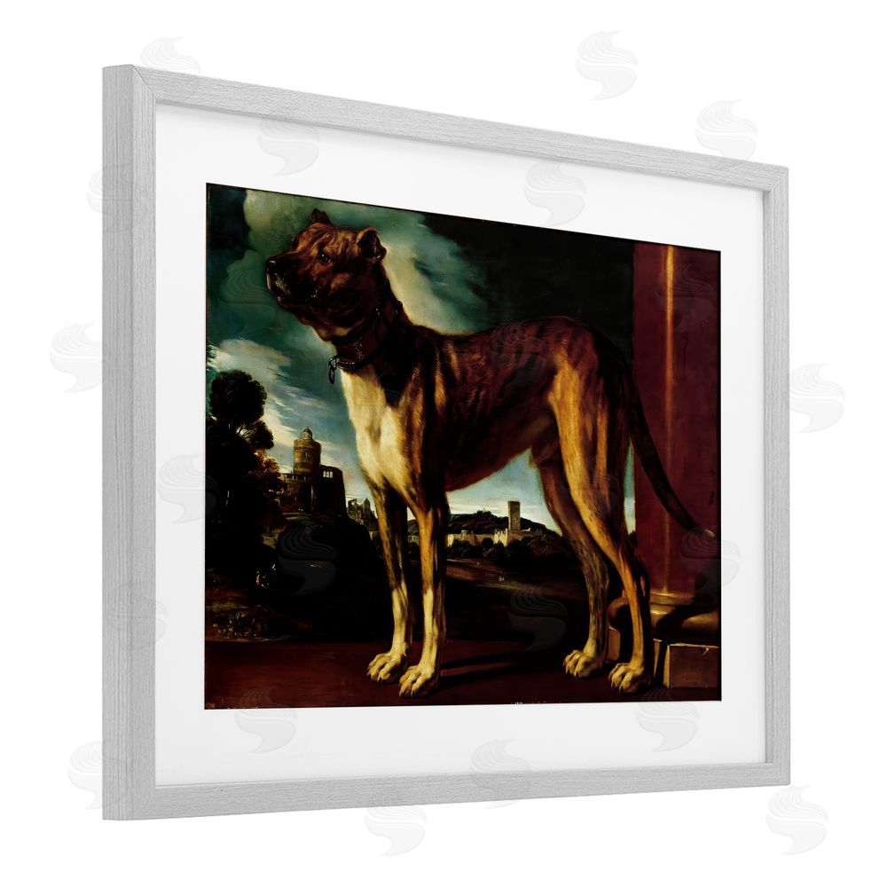 Lil' Rue Historical Aldrovani Dog Gray Framed Print Under Glass Wall Art