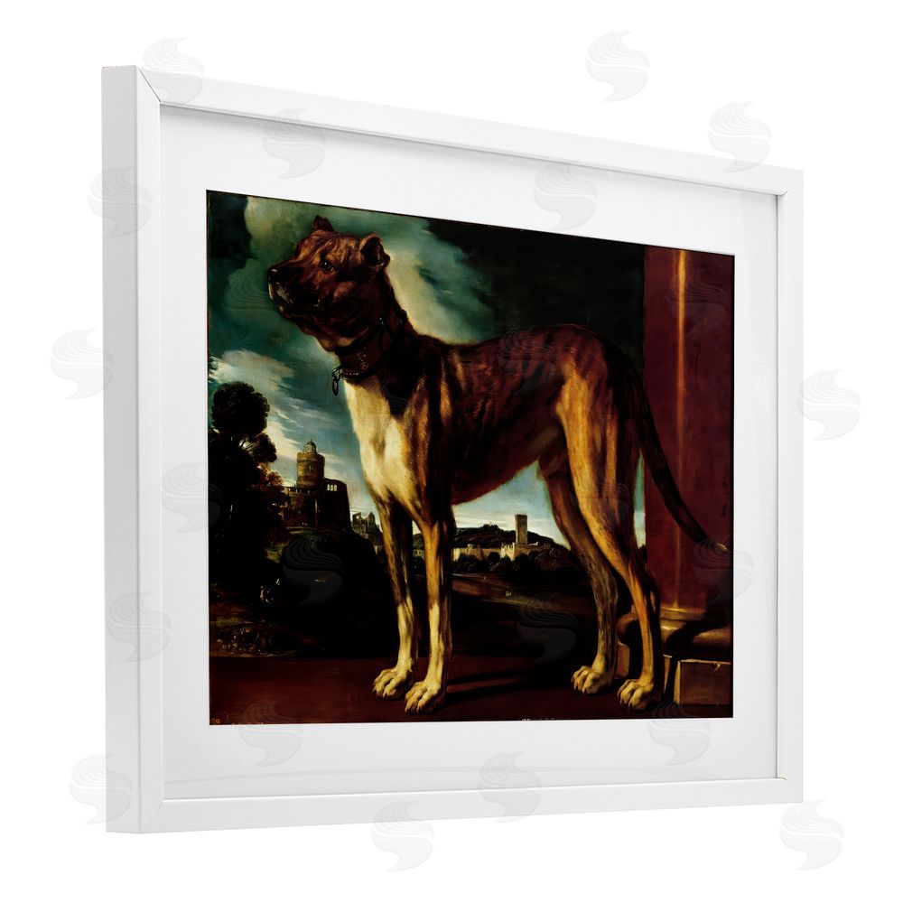 Lil' Rue Historical Aldrovani Dog White Framed Print Under Glass Wall Art