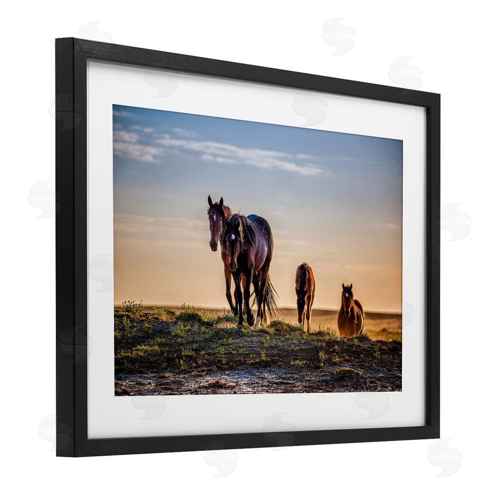 Tim West Horses Coming Home Black Framed Print Under Glass Wall Art