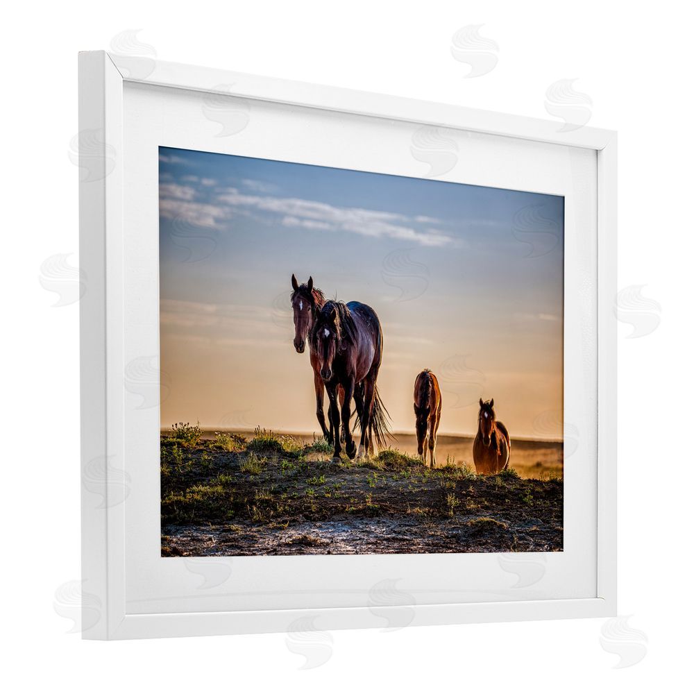Tim West Horses Coming Home White Framed Print Under Glass Wall Art