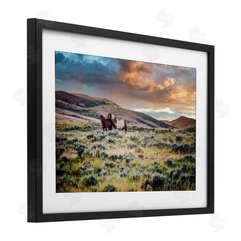 Tim West Stay Close Horses Black Framed Print Under Glass Wall Art