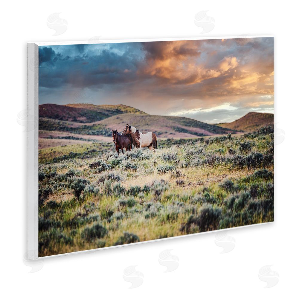 Tim West Stay Close Horses Wooden Wall Plaque Art Print