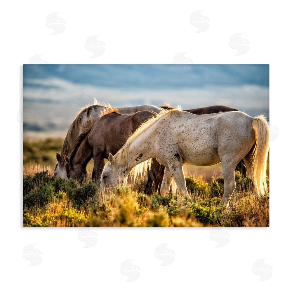 Tim West Equine Evening Graze Stretched Canvas Wall Art Print