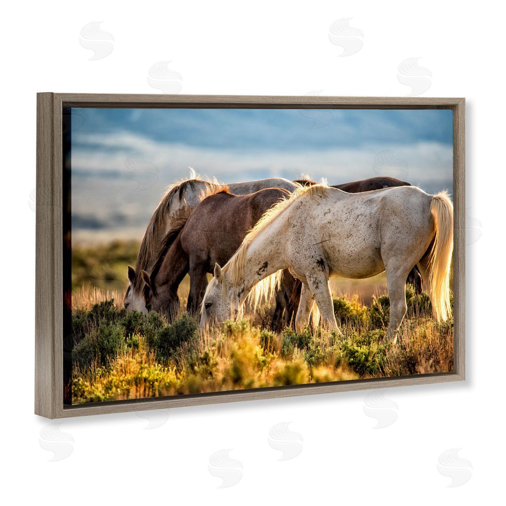 Tim West Equine Evening Graze Brown Floating Frame Canvas Wall Art Print