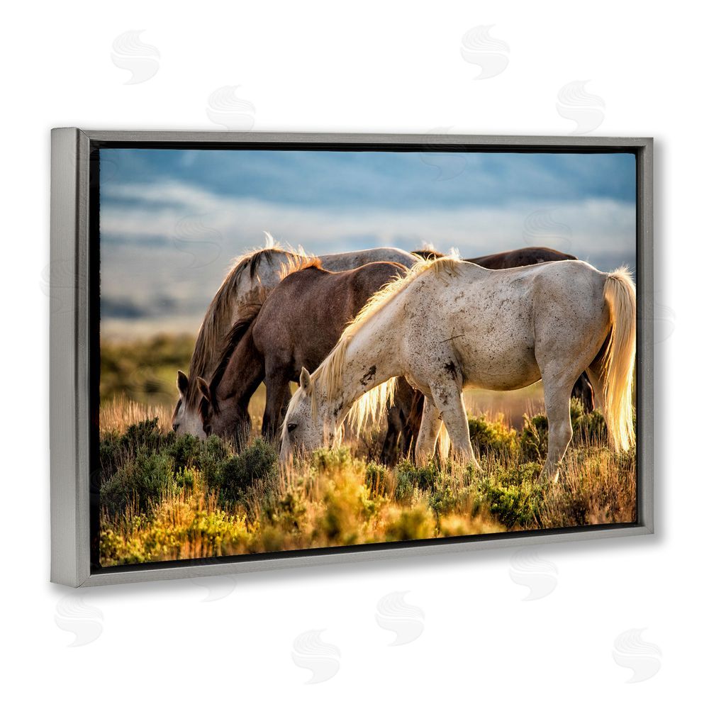 Tim West Equine Evening Graze Gray Floating Frame Canvas Wall Art Print