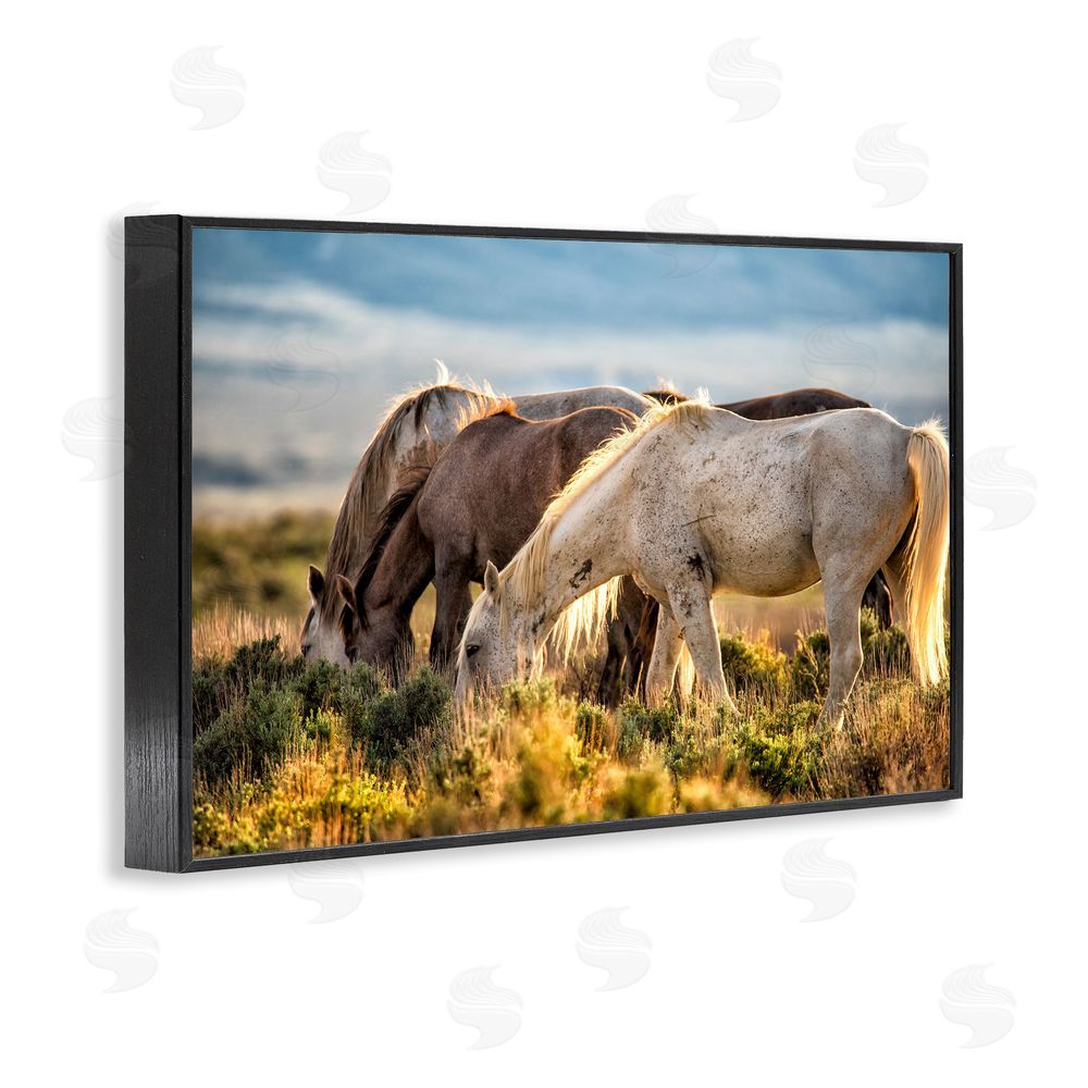 Tim West Equine Evening Graze Black Framed Giclee Wall Art Print
