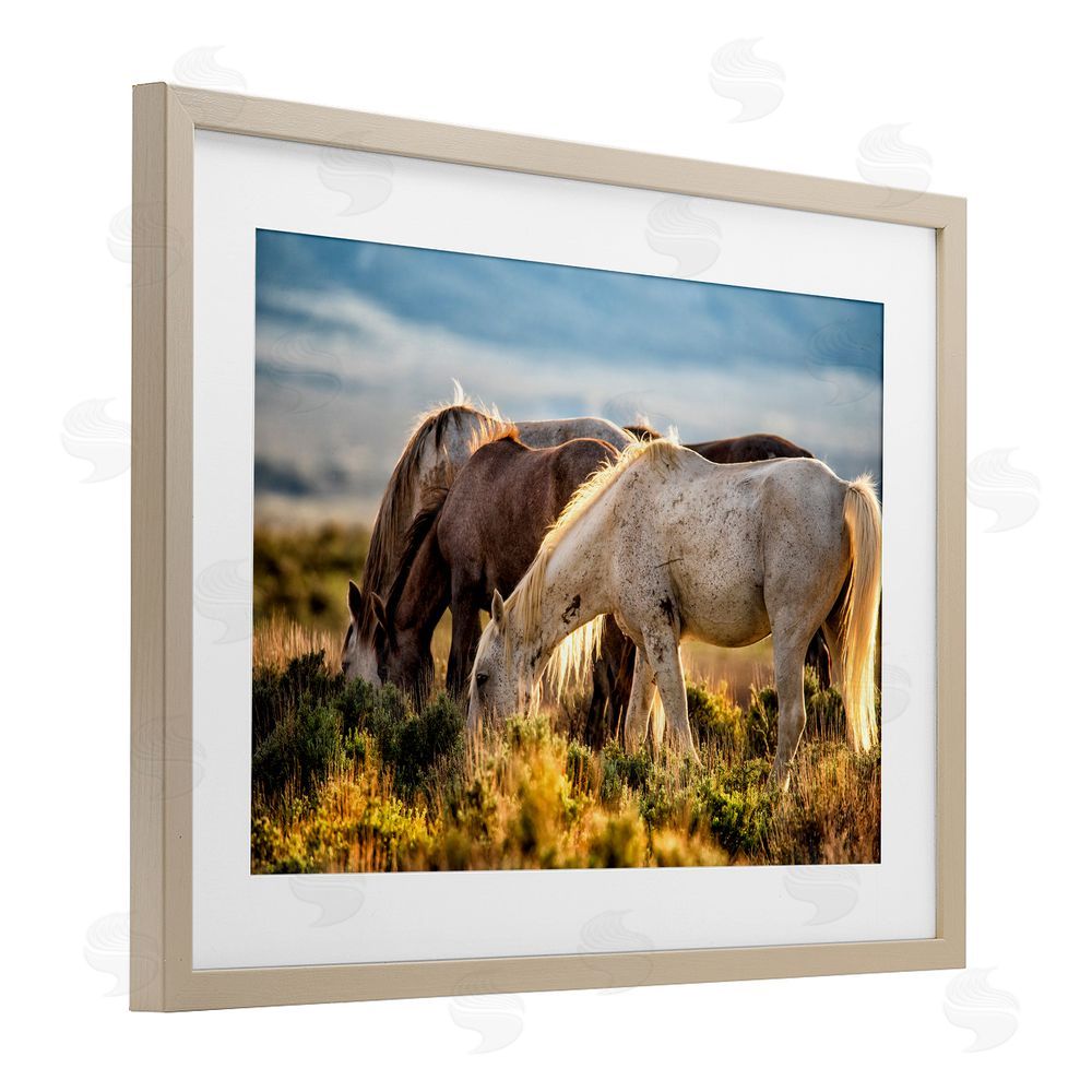 Tim West Equine Evening Graze Brown Framed Print Under Glass Wall Art