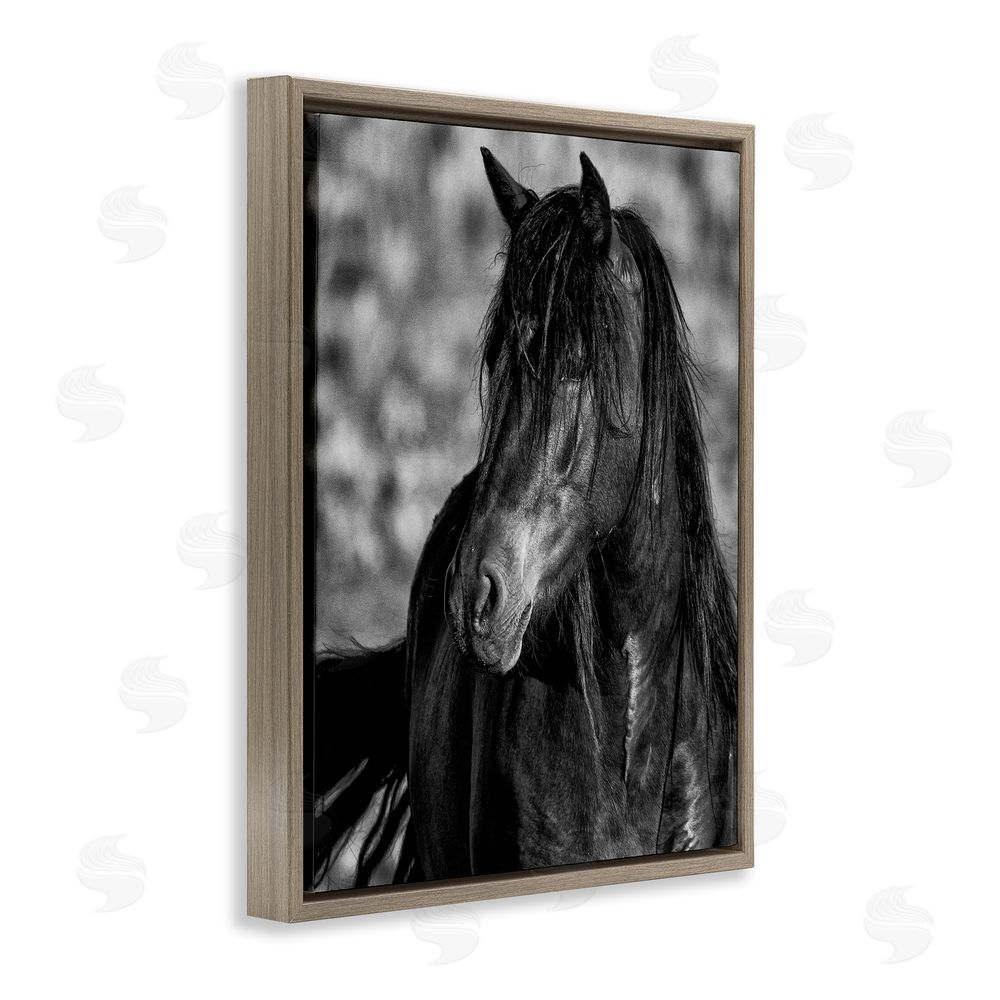 Tim West Beauty In Black Brown Floating Frame Canvas Wall Art Print