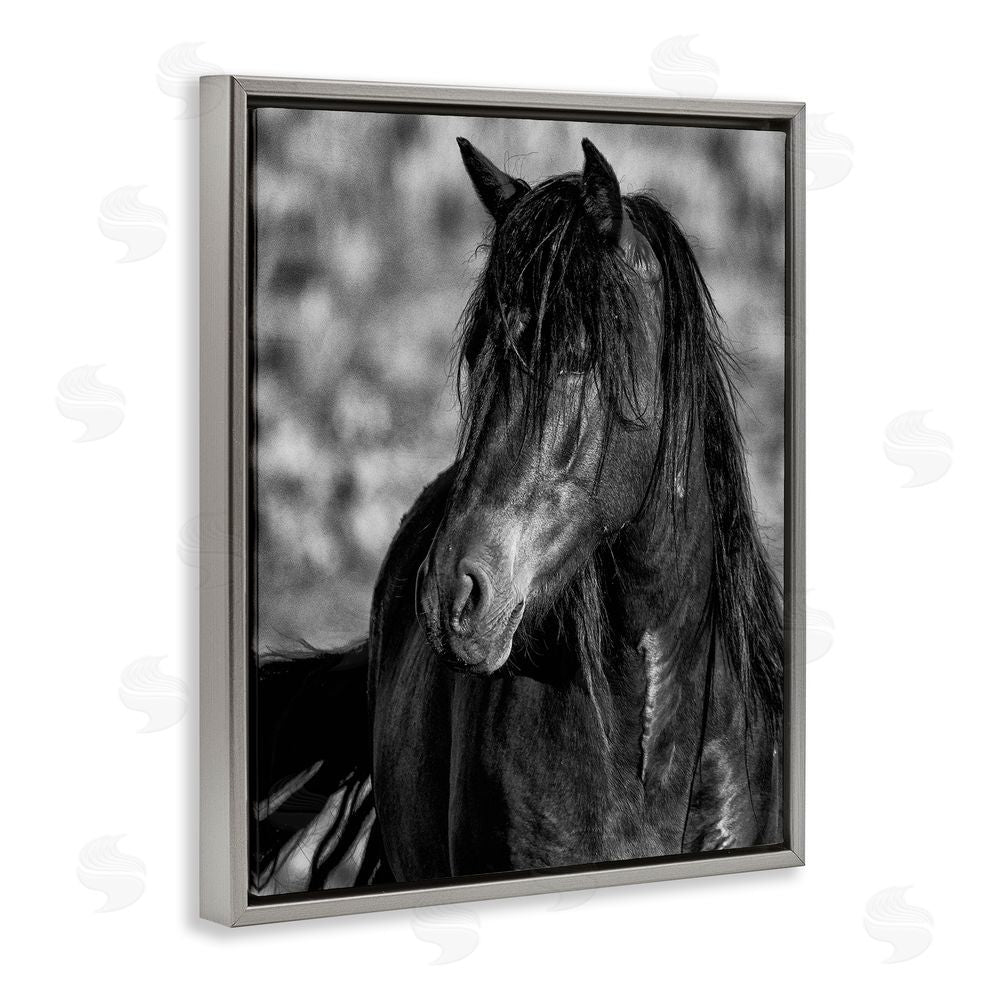 Tim West Beauty In Black Gray Floating Frame Canvas Wall Art Print