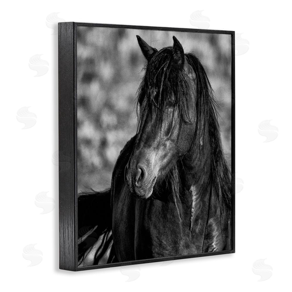 Tim West Beauty In Black Black Framed Giclee Wall Art Print