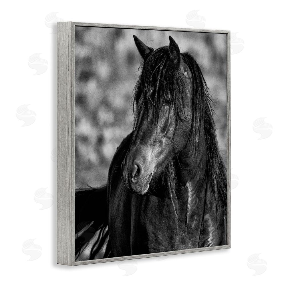 Tim West Beauty In Black Gray Framed Giclee Wall Art Print