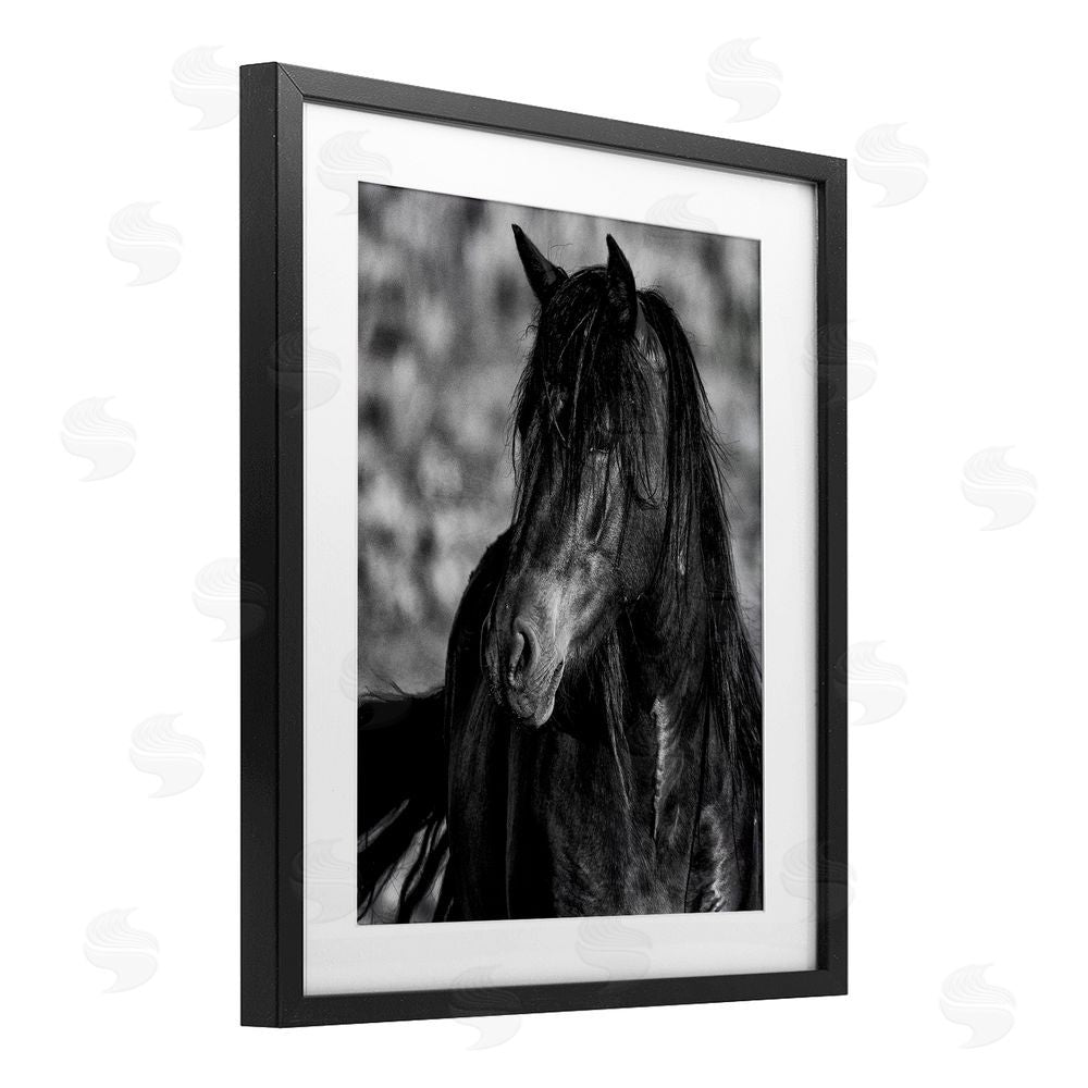 Tim West Beauty In Black Black Framed Print Under Glass Wall Art