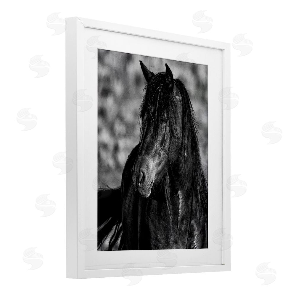 Tim West Beauty In Black White Framed Print Under Glass Wall Art