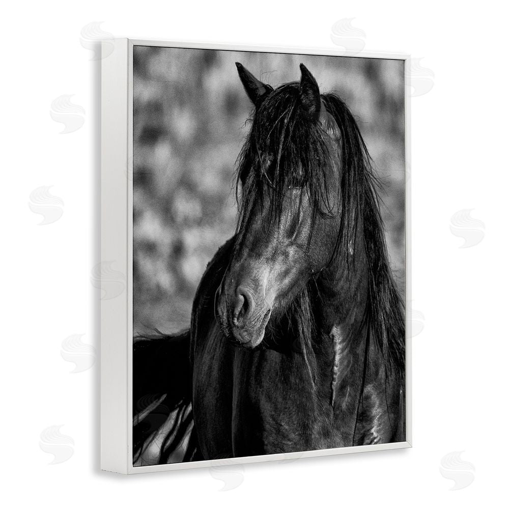 Tim West Beauty In Black White Framed Giclee Wall Art Print