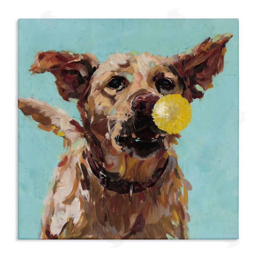 Studio Bautista Dog Playing with Ball Stretched Canvas Wall Art Print