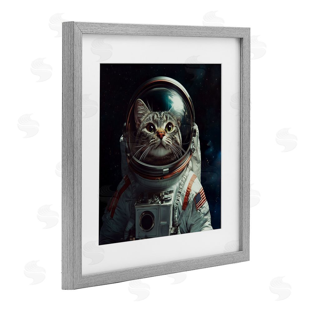 Jim Baldwin Catstronaut Cat Astronaut Gray Framed Print Under Glass Wall Art