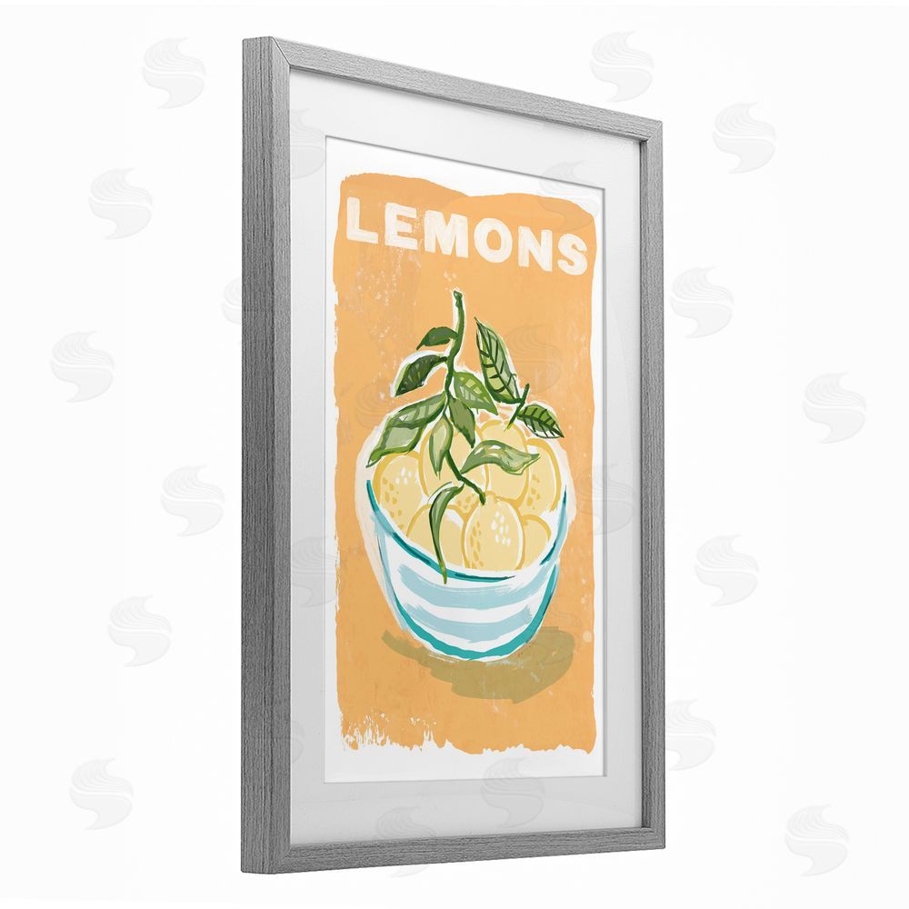 Chad Barrett Lemon Twist Motif Gray Framed Print Under Glass Wall Art