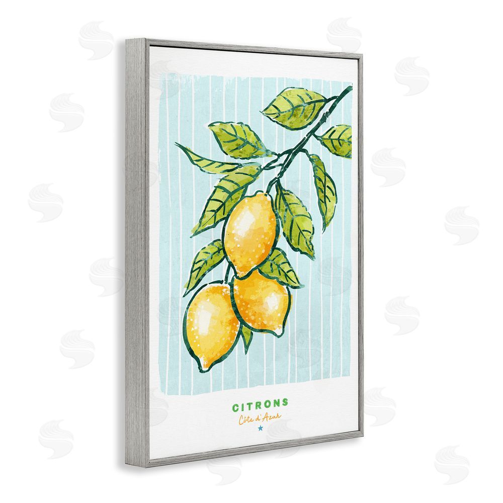 Chad Barrett Modern Bistro Lemons Gray Framed Giclee Wall Art Print