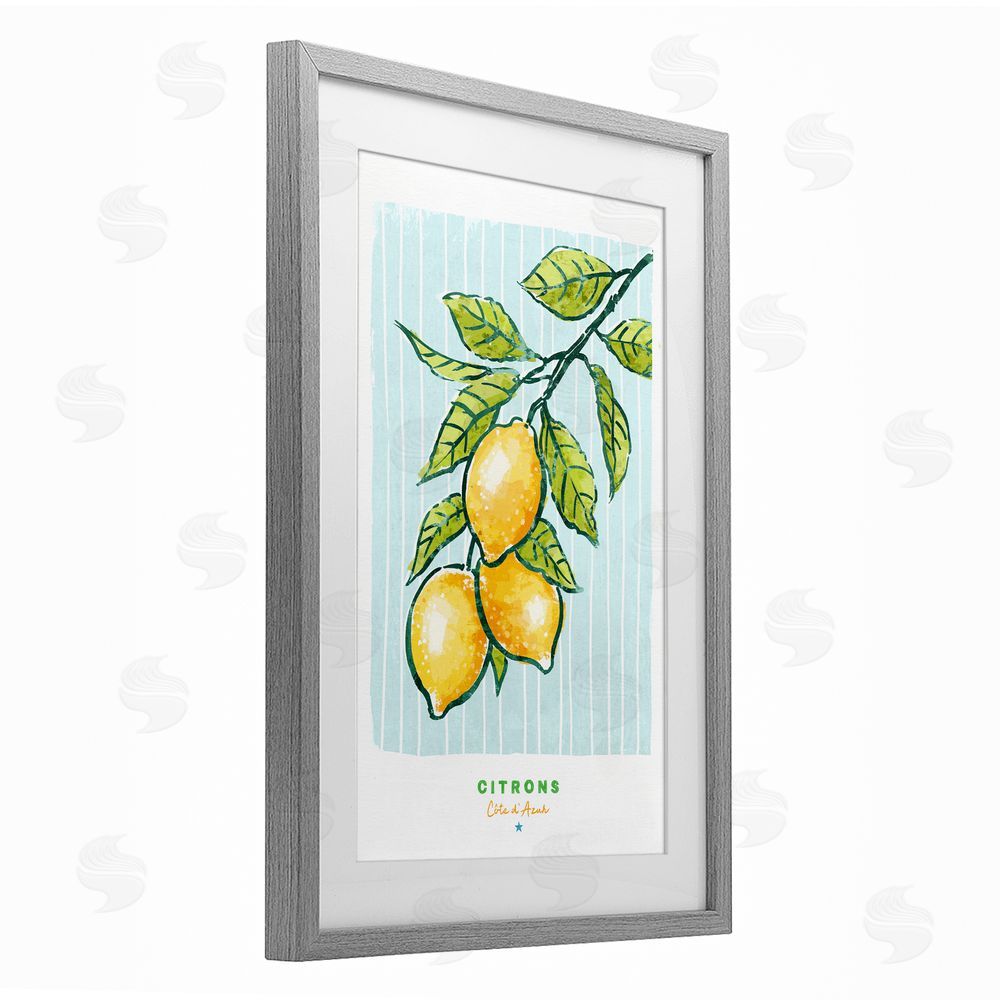 Chad Barrett Modern Bistro Lemons Gray Framed Print Under Glass Wall Art