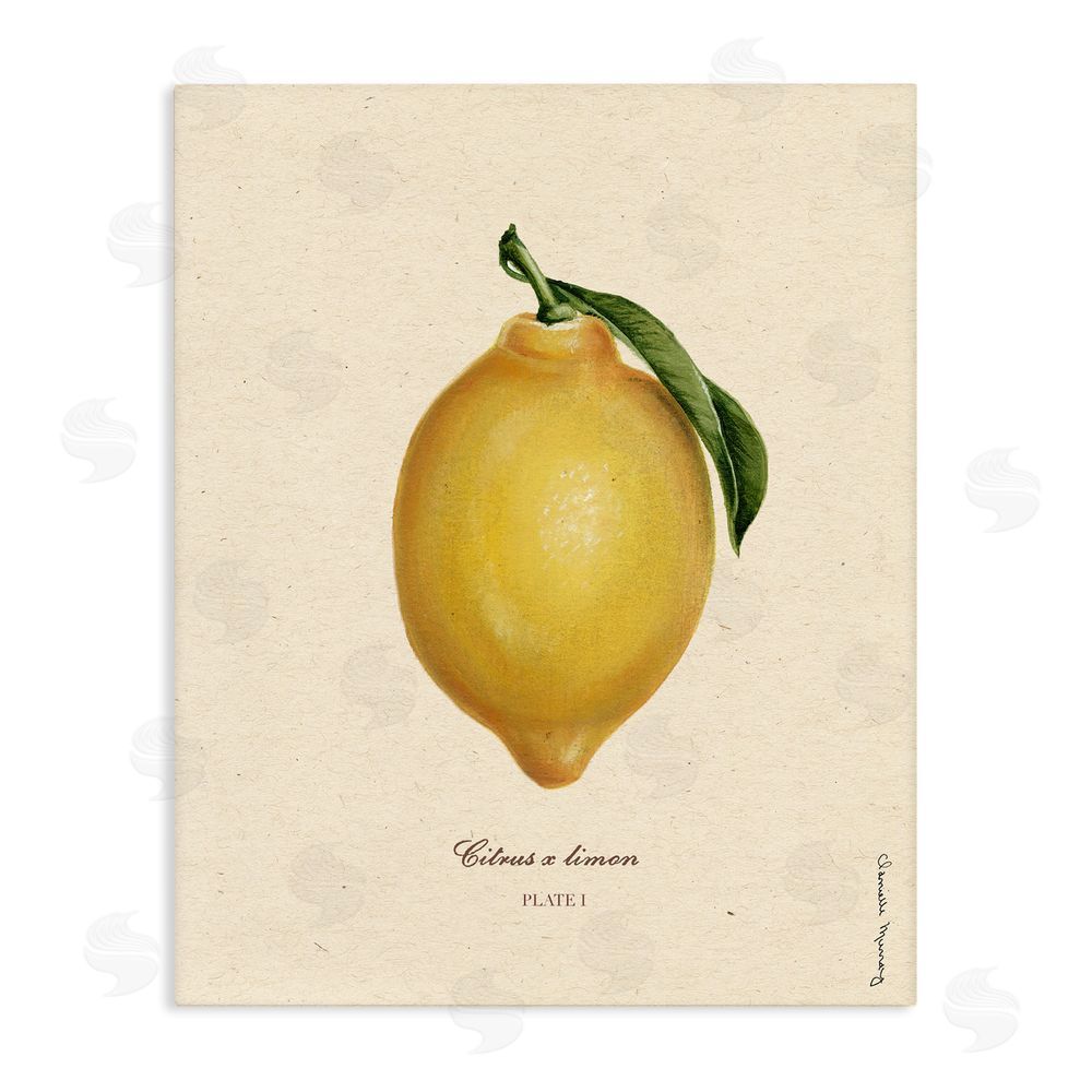 Danielle Murray Lemon Fruit Portrait Stretched Canvas Wall Art