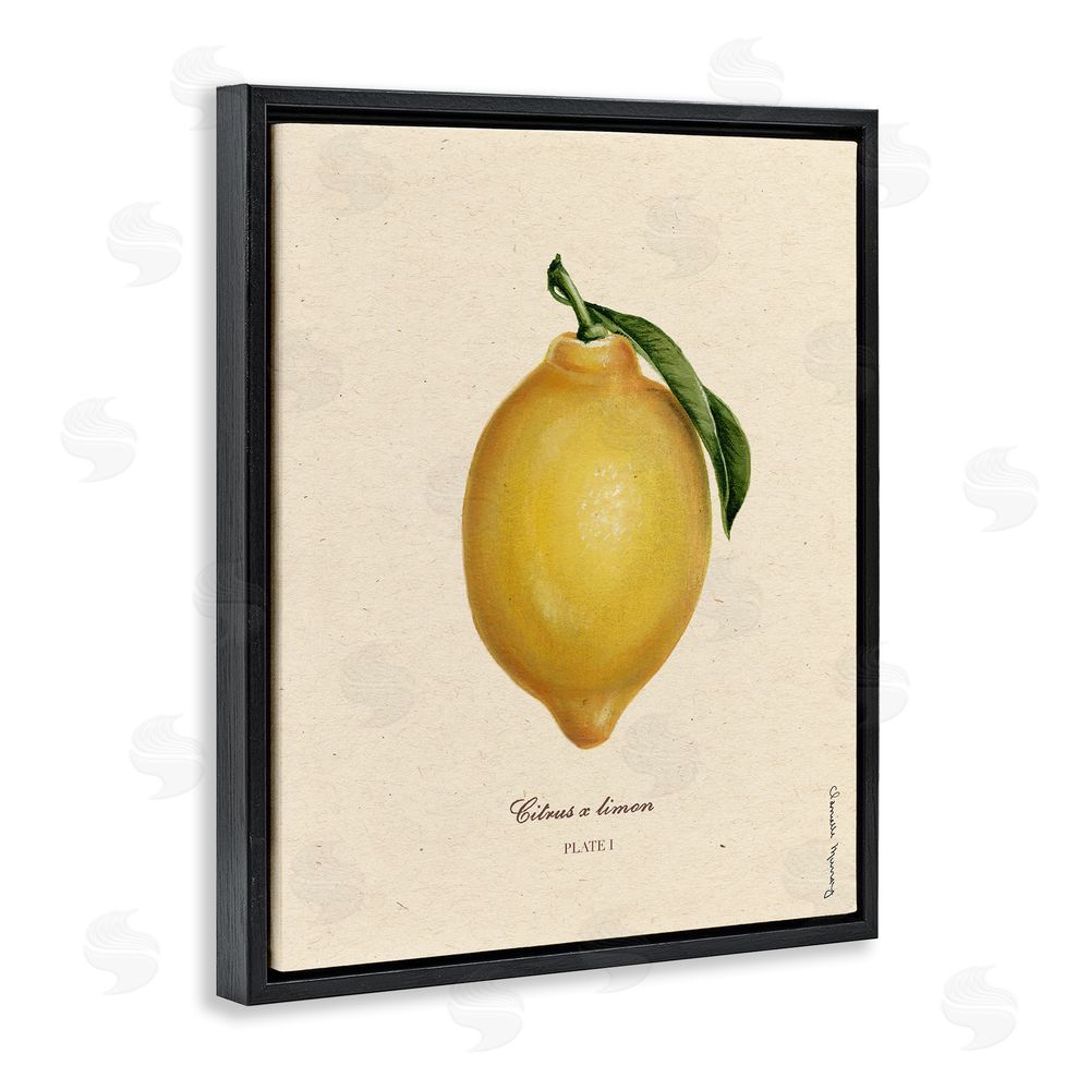 Danielle Murray Lemon Fruit Portrait Black Floating Frame Canvas Wall Art Print