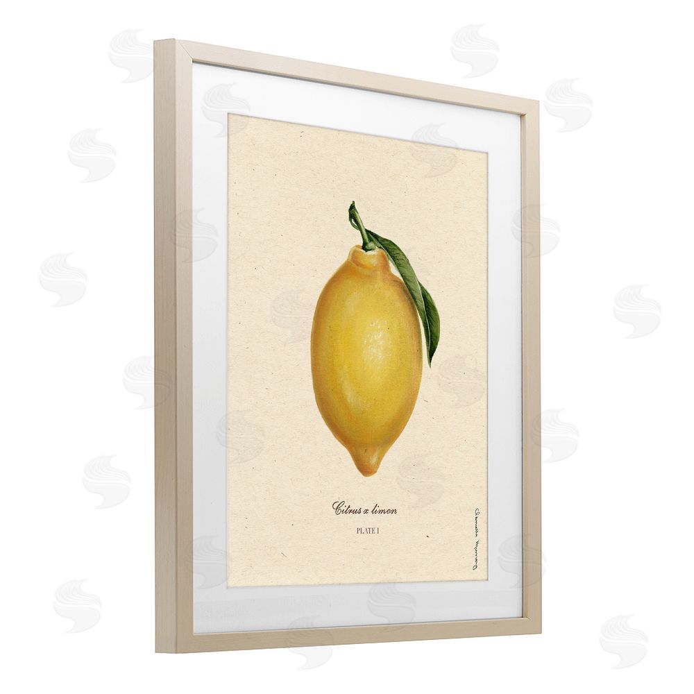 Danielle Murray Lemon Fruit Portrait Birch Framed Print Under Glass Wall Art