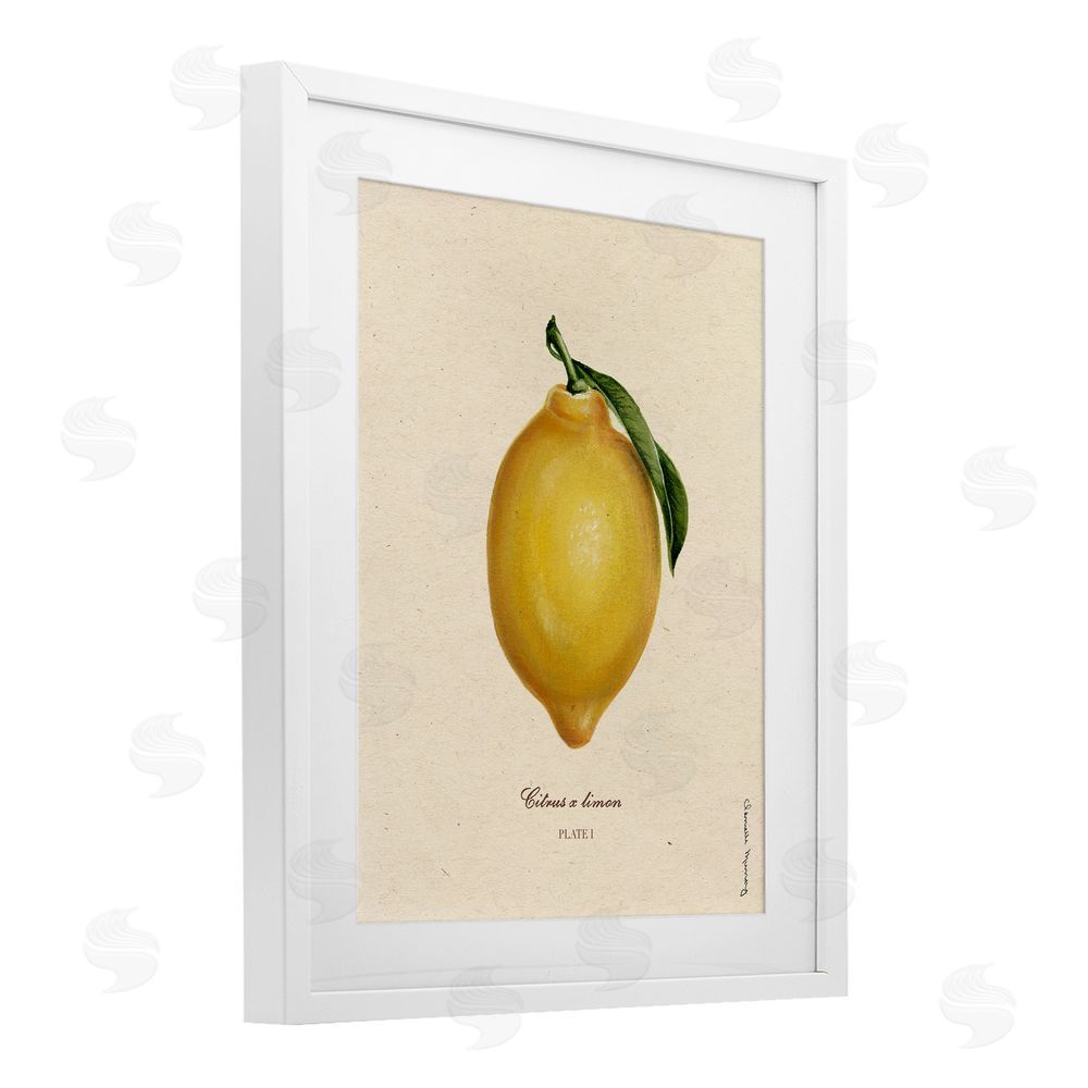 Danielle Murray Lemon Fruit Portrait White Framed Print Under Glass Wall Art
