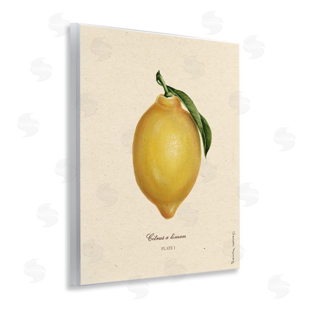 Danielle Murray Lemon Fruit Portrait Wall Plaque Art Print