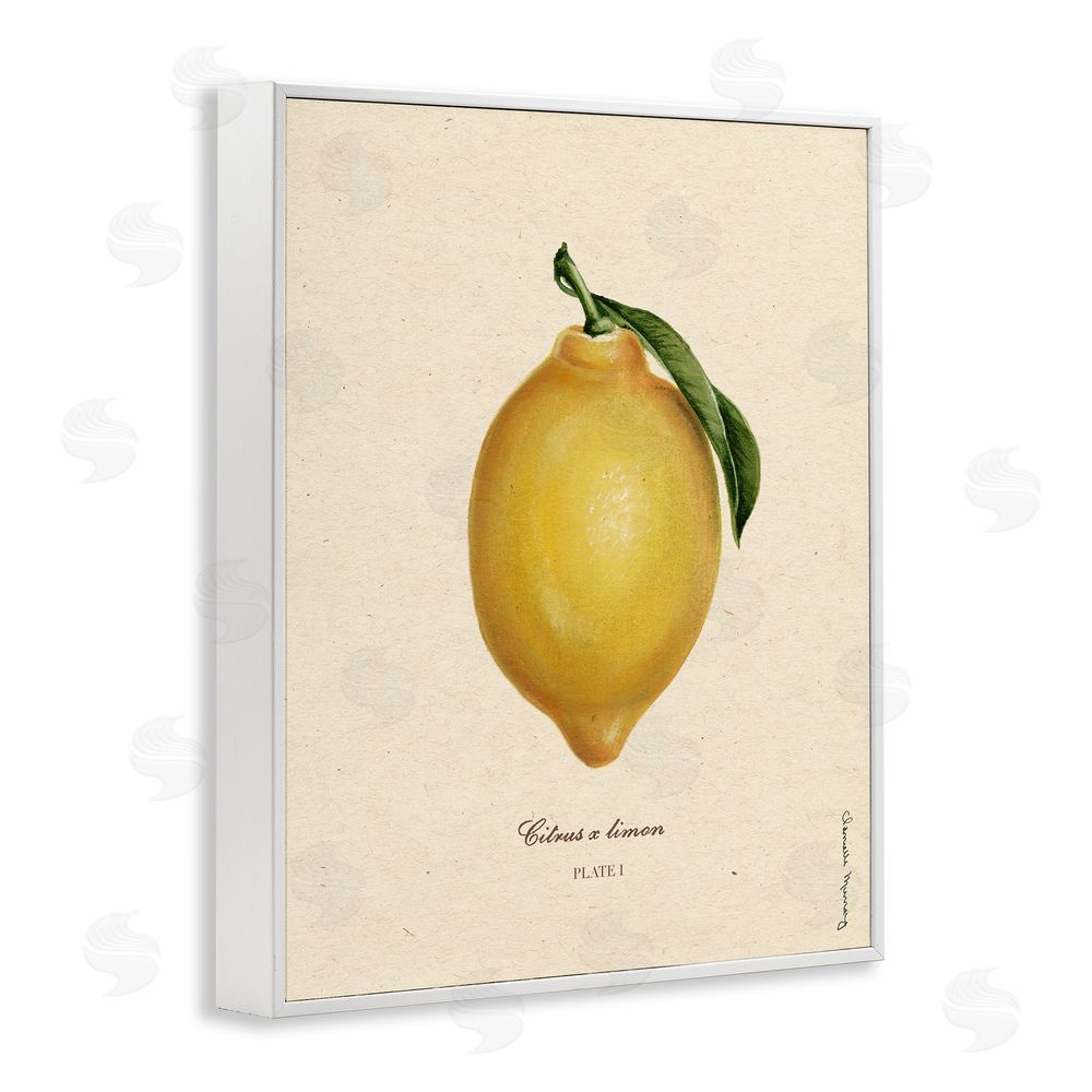 Danielle Murray Lemon Fruit Portrait White Framed Giclee Wall Art Print