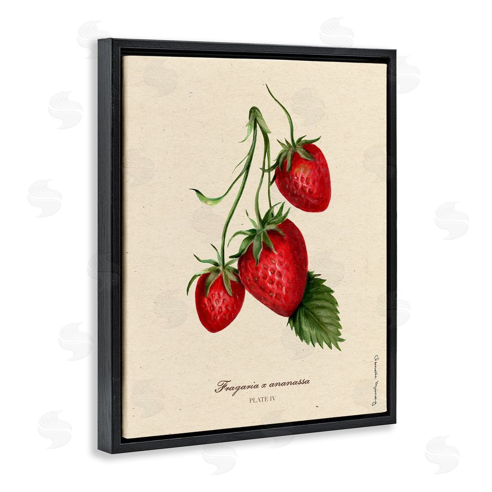 Danielle Murray Strawberry Fruit Portrait Black Floating Frame Canvas Wall Art Print