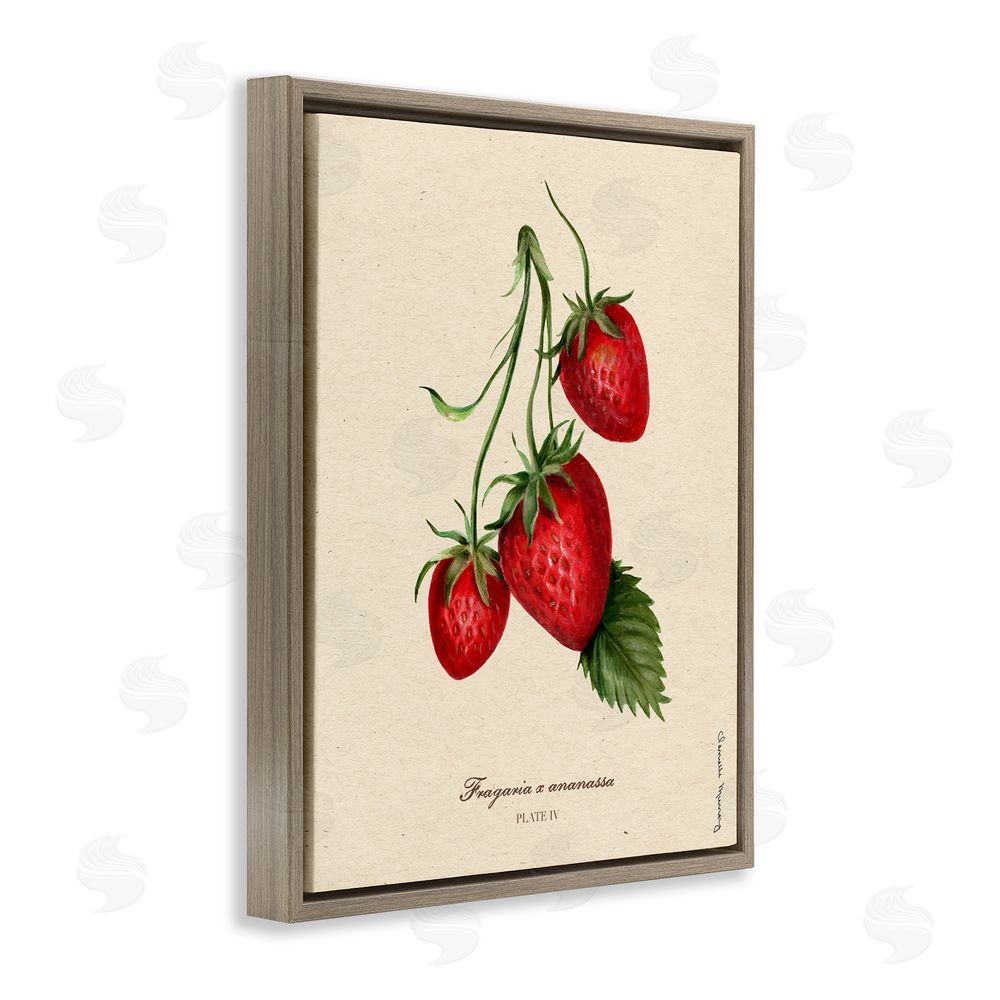 Danielle Murray Strawberry Fruit Portrait Brown Floating Frame Canvas Wall Art Print