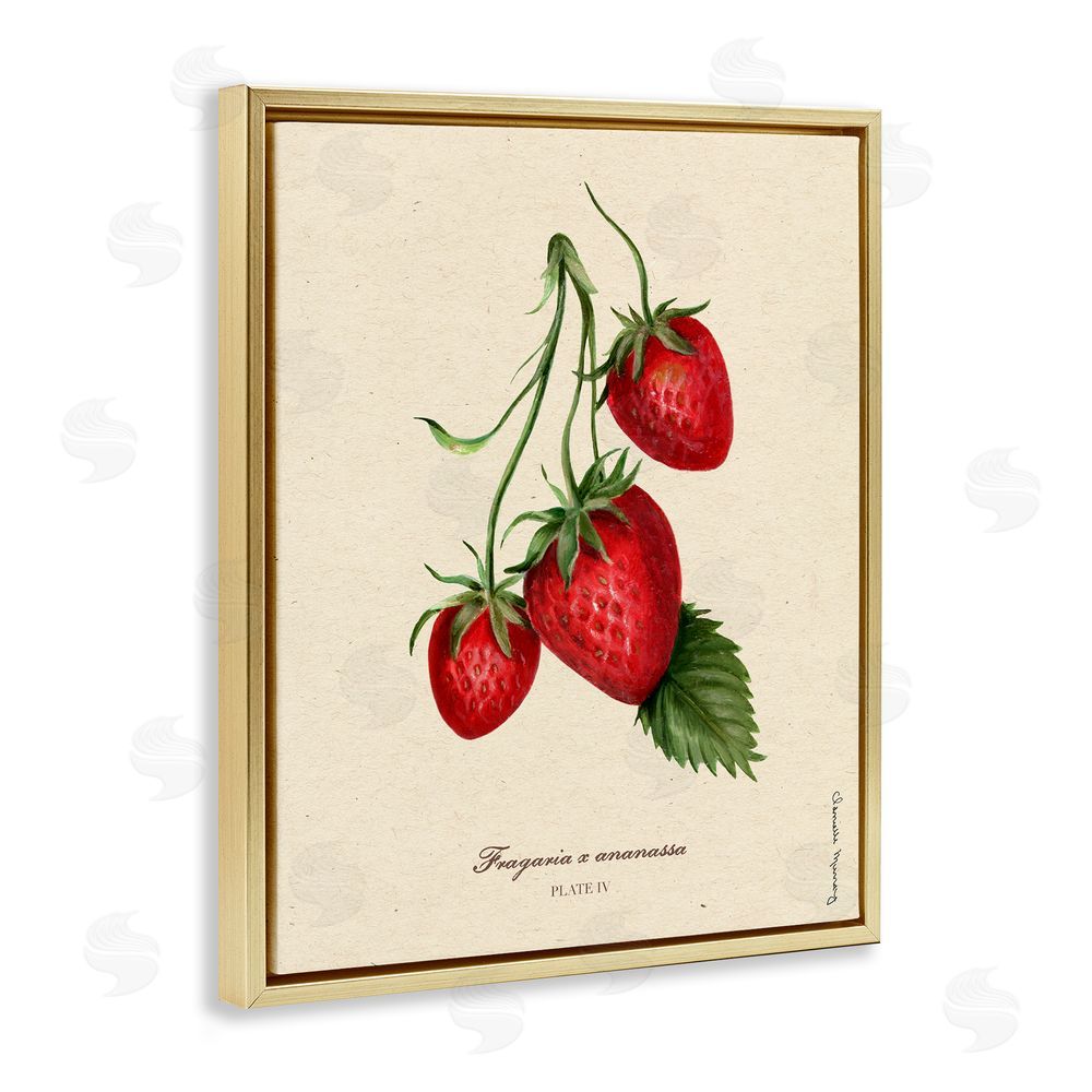 Danielle Murray Strawberry Fruit Portrait Gold Floating Frame Canvas Wall Art Print
