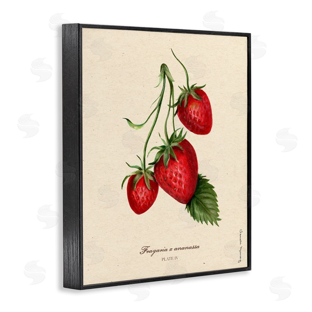 Danielle Murray Strawberry Fruit Portrait Black Framed Giclee Wall Art Print