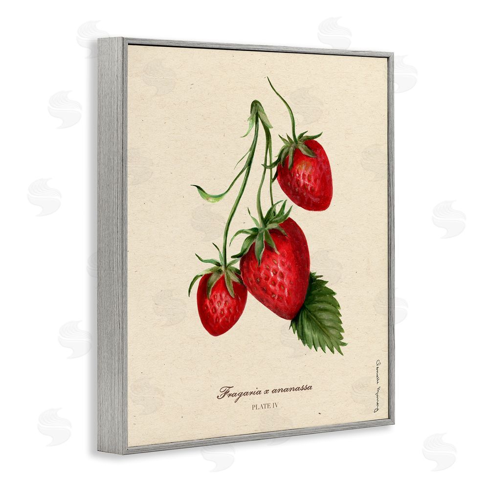 Danielle Murray Strawberry Fruit Portrait Gray Framed Giclee Wall Art Print