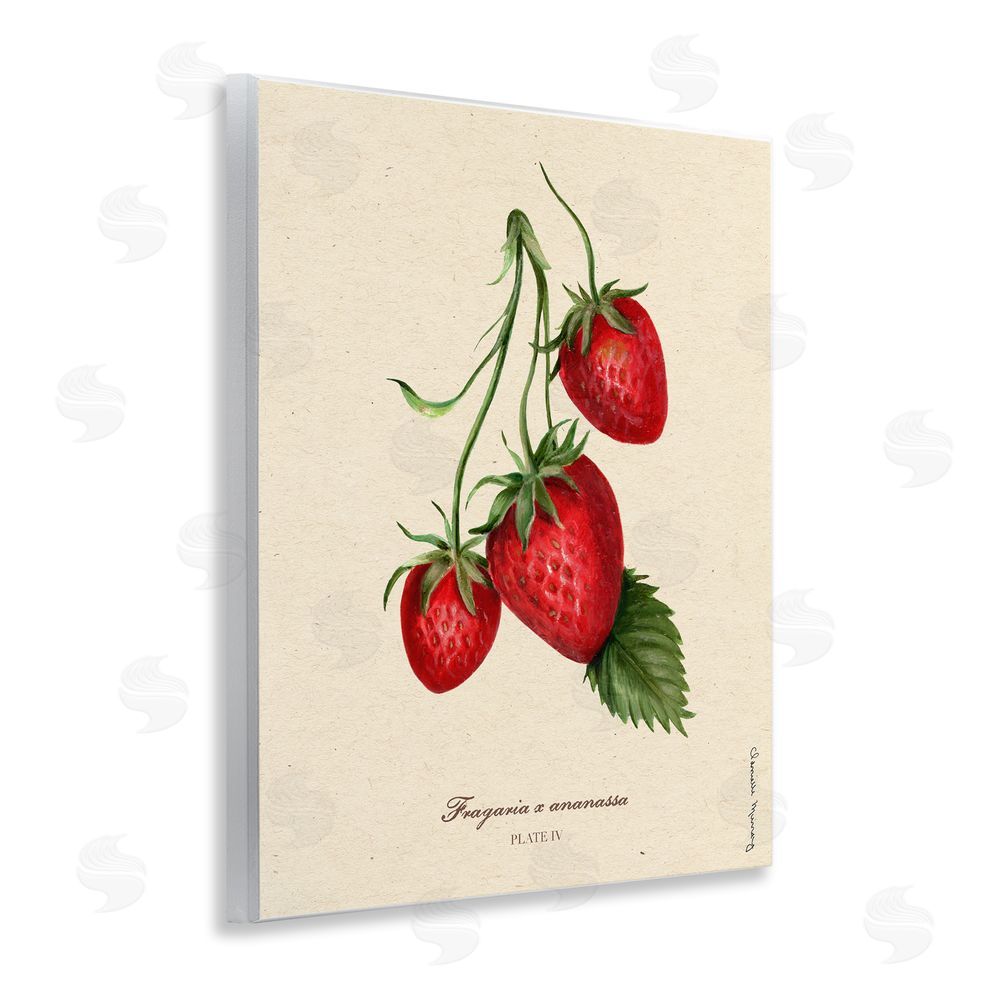 Danielle Murray Strawberry Fruit Portrait Wall Plaque Art Print