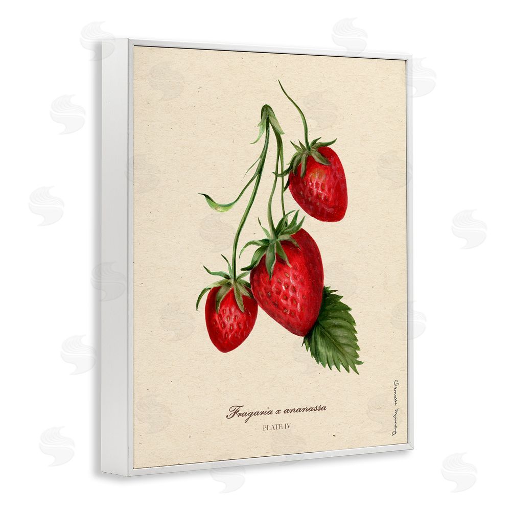 Danielle Murray Strawberry Fruit Portrait White Framed Giclee Wall Art Print