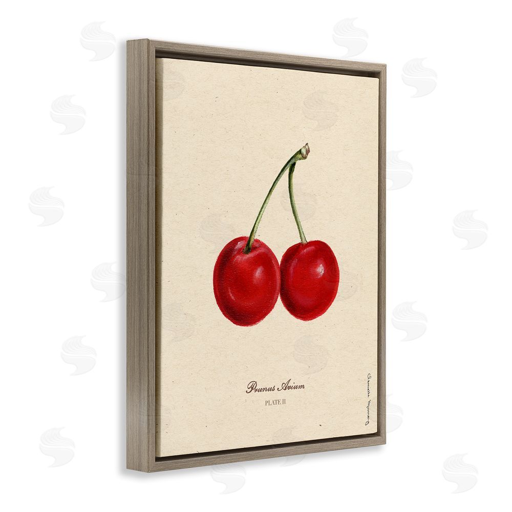 Danielle Murray Cherry Fruit Portrait Brown Floating Frame Canvas Wall Art Print